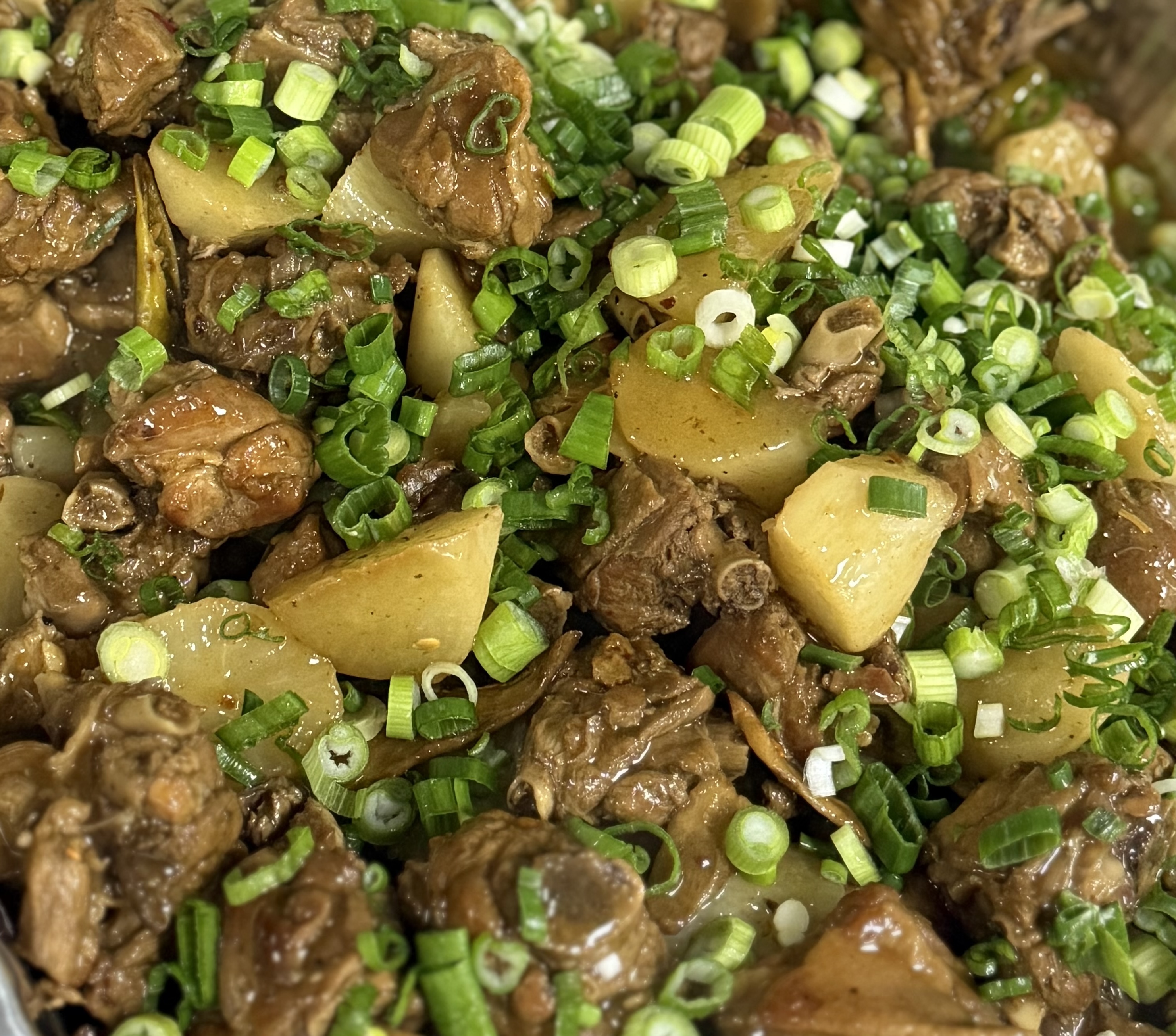 Loulan braised beef with potato and scallion