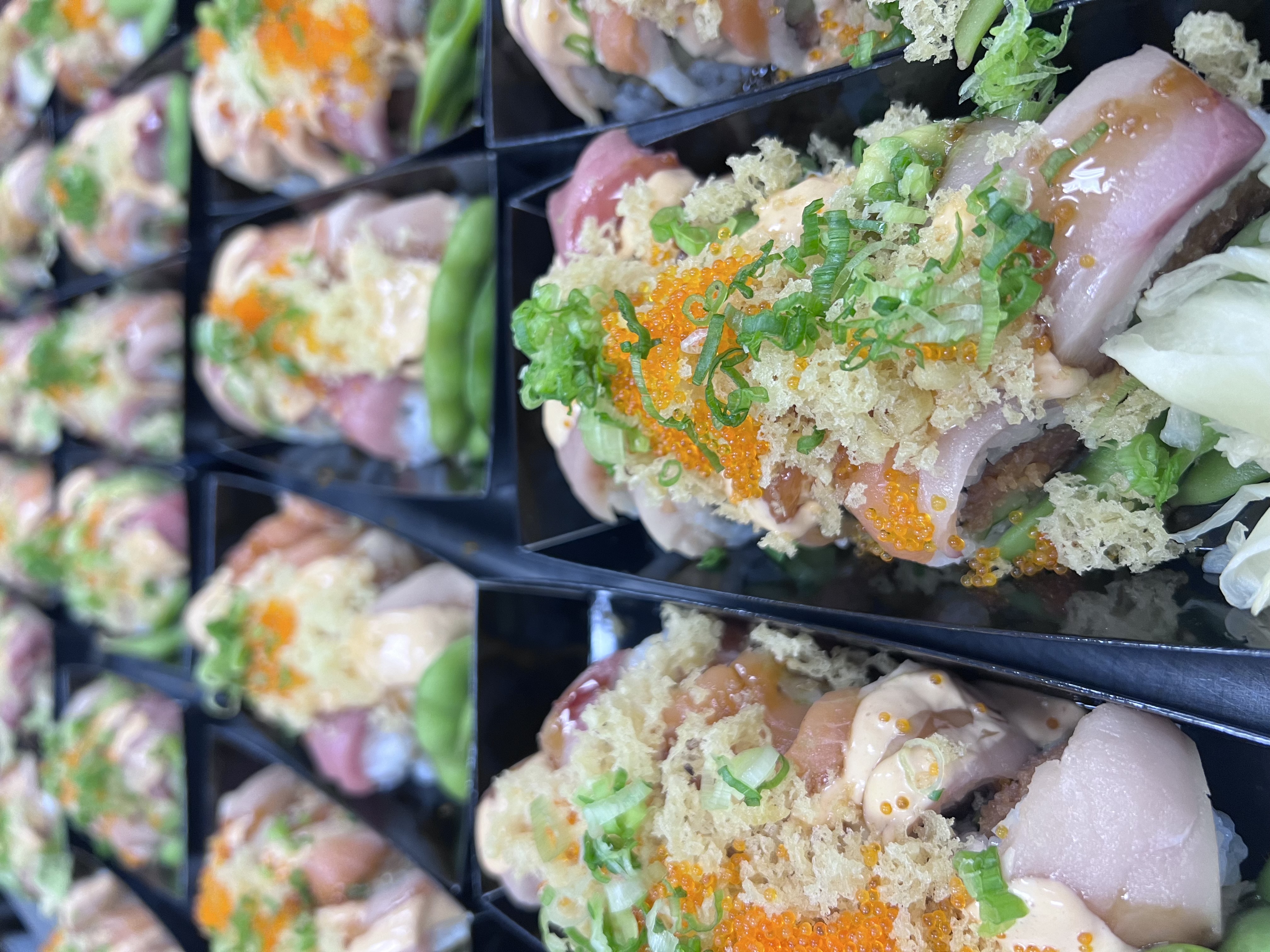 Sushi rolls close up